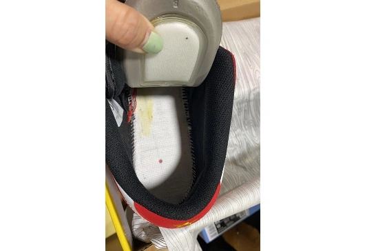 Low 25th 309242-307 years Dunk Nike SB 0316